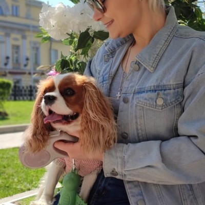 Частная массажистка Алина, 29 лет, Москва - фото 22